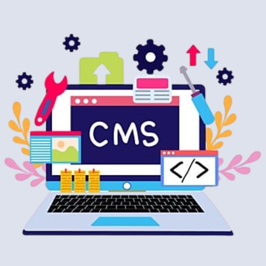 CMS Web Development